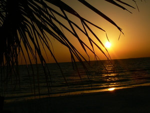 Sunset in Florida