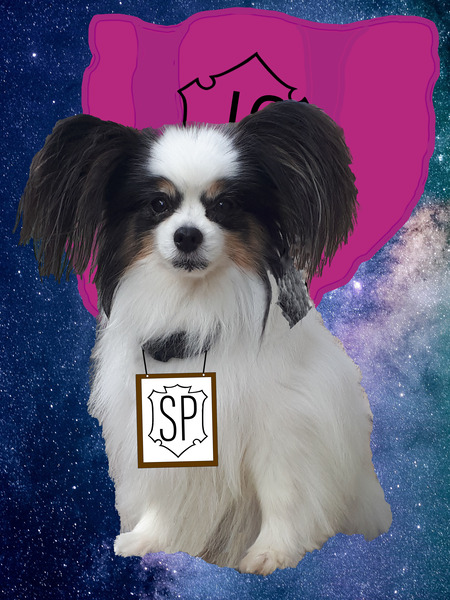 Super Papillon Print