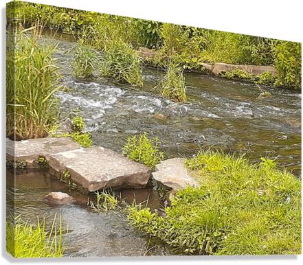 Babbling Brook Canvas Print