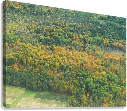 Early Fall Colours Canvas Print