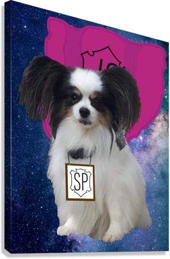 Super Papillon Canvas Print