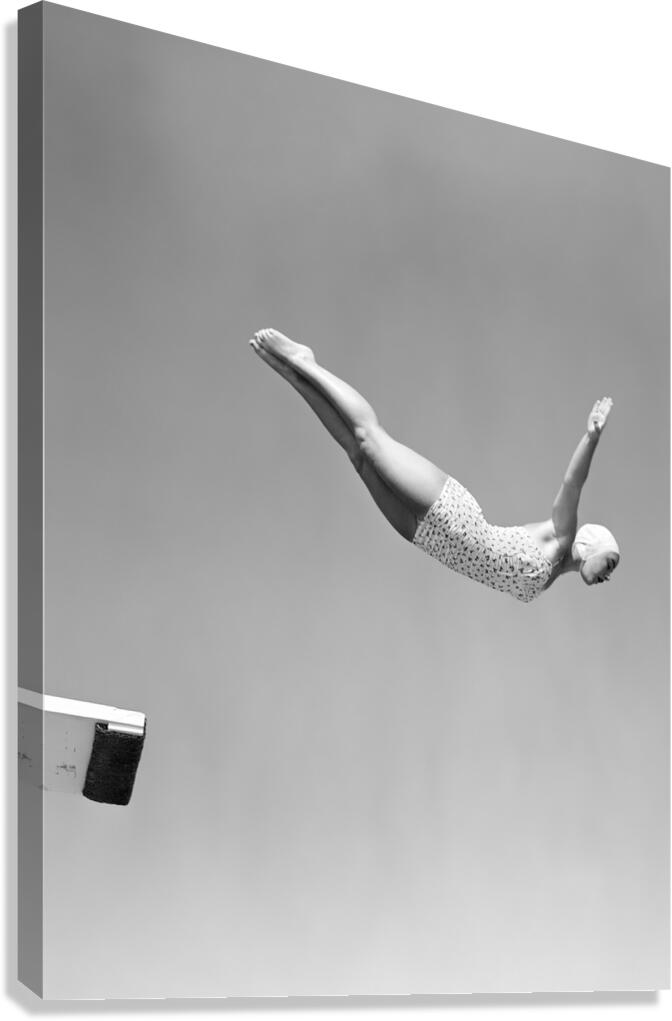 Springboard diver Canvas Print