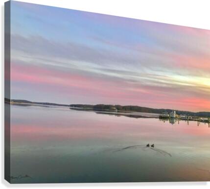 River Ducks Canvas Print