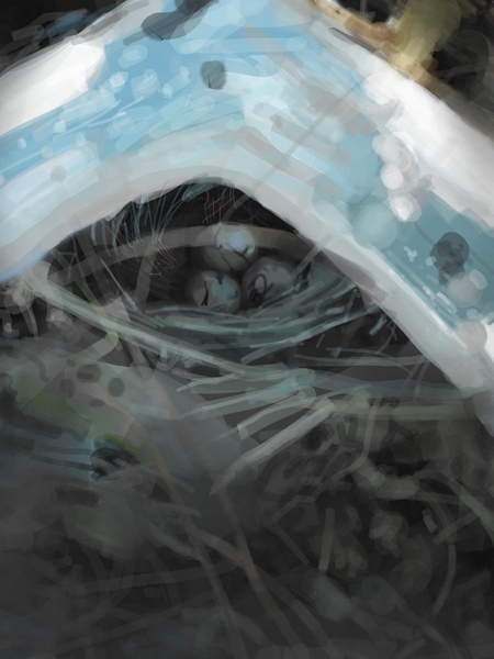 Bird Nest Print