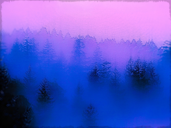 Winter Print