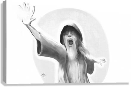 screaming wizard Canvas Print