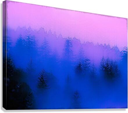 Winter Canvas Print
