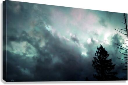 Storm Canvas Print