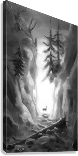 Canyon Canvas Print