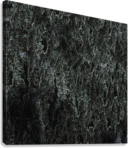 Edge Canvas Print