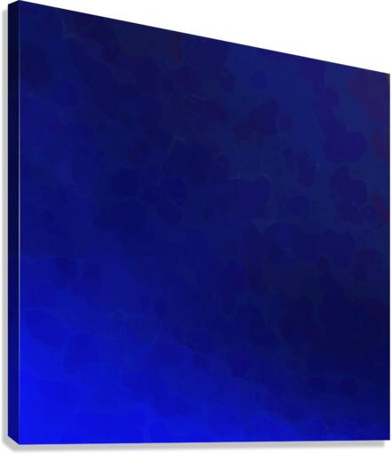 Shallow Depth Canvas Print