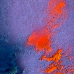 Seaset
