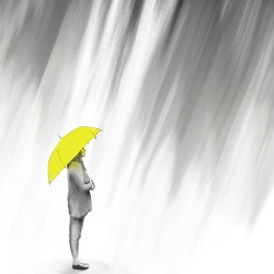 umbrella