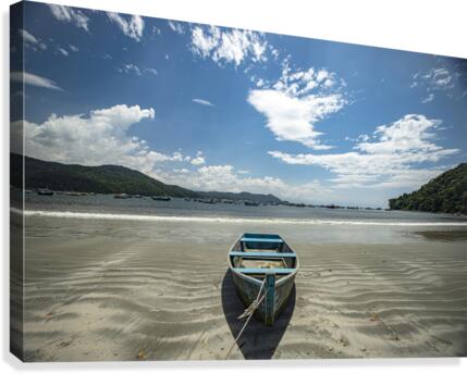 Boat on beach Canvas Print