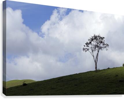 Natural landscape Canvas Print