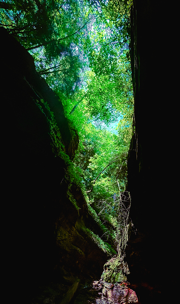 Heart of Nature  Print