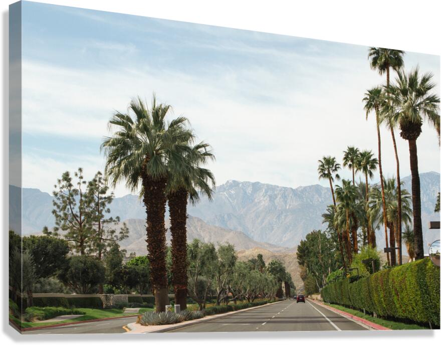 Palm Springs Drive Canvas Print