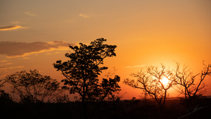 1147 - Sunset 