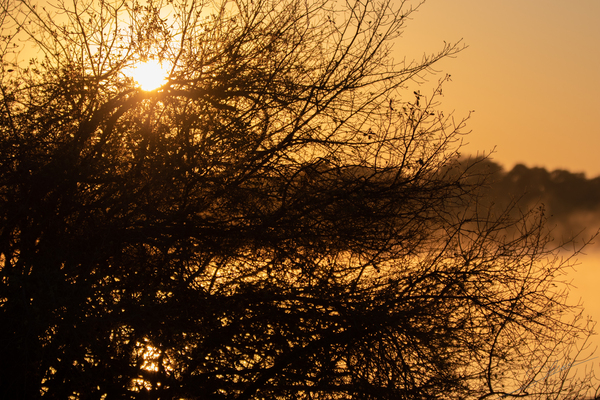 1165 - Sunrise on zambezi river by Claude Riou