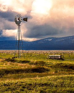 Spring Windmill - Vertical - Madeline - Lassen County California