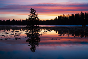 Lucky Dawn - Lassen County California