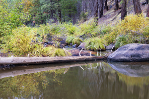 Indian Creek Autumn Serenity   Plumas County California by Mike Lee