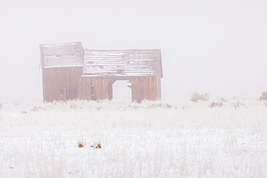 Old Barn in the Fog - Lassen County California