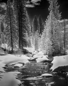 Bailey Creek Infrared - Plumas County California