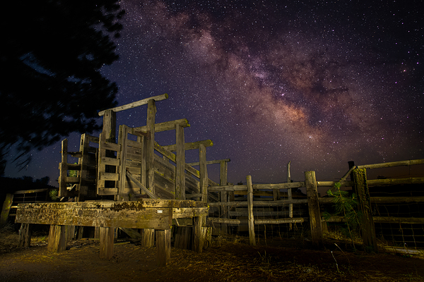 Chuting Stars - Lassen County California by Mike Lee