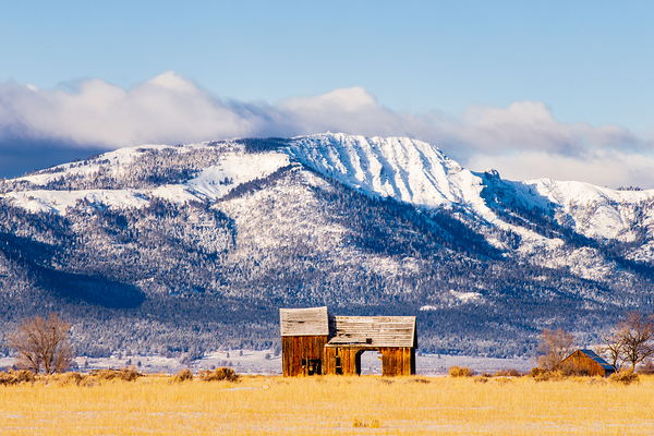 Frosty and Weathered - Barn and Thompson Peak in Lassen County California Print
