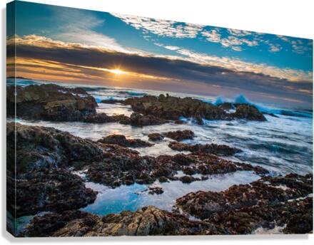 Asilomar Sunset Canvas Print