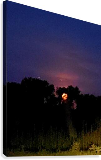 Hide n Seek Canvas Print