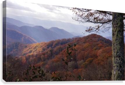 Spotlight  Canvas Print