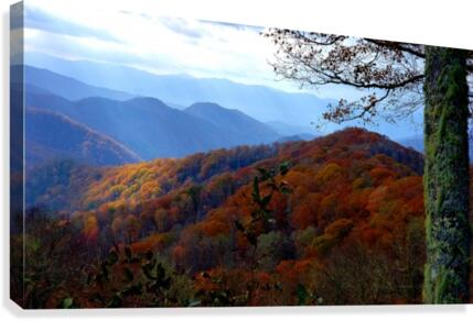 Spotlight enhanced Canvas Print
