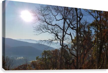 Energized  Canvas Print