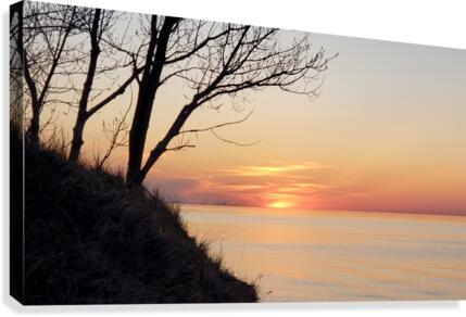 Peach Tea Canvas Print