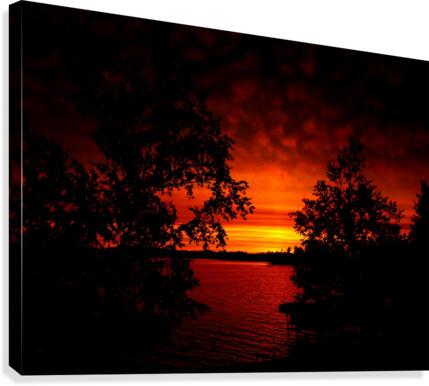 Intense  Canvas Print