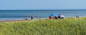 IMG 6591