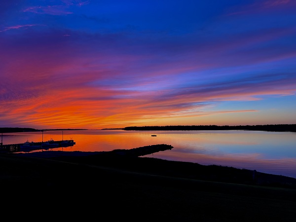 IMG 5173 by David Nichols