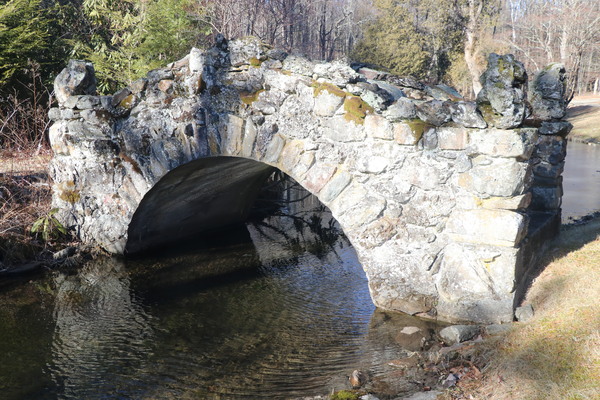 Fae Bridge by Deb Striker