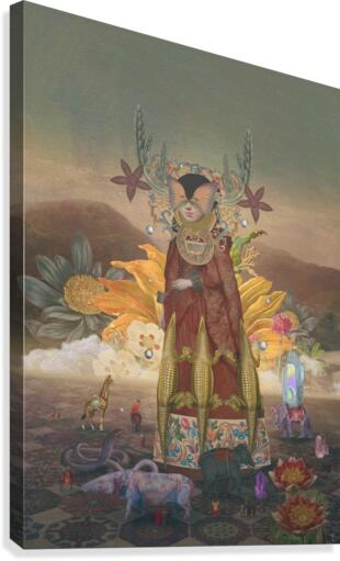 aa13 Canvas Print