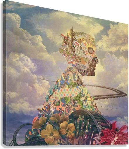 aa9 Canvas Print