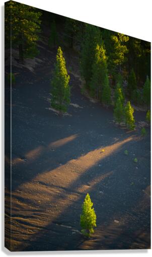 Lassen Canvas Print