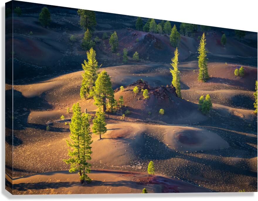 Painted Dunes Canvas Print