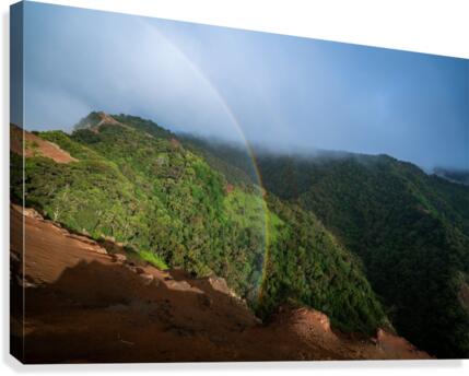 Honopu Canvas Print