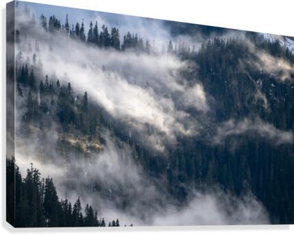 Washington Canvas Print