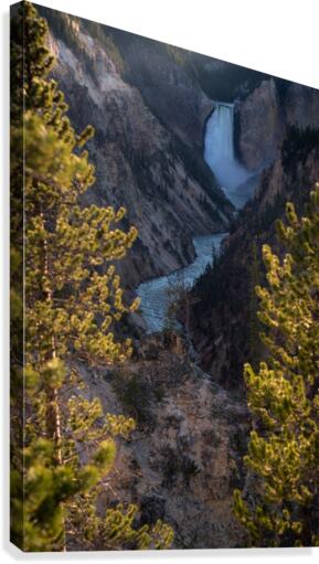 Yellowstone Falls Canvas Print