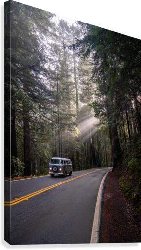 Vanlife Canvas Print