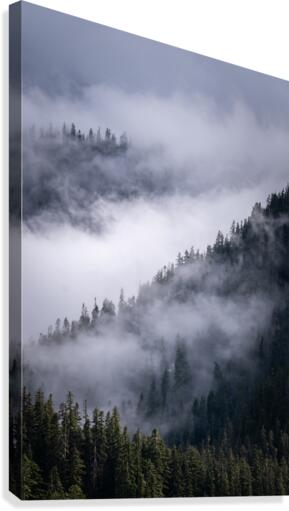 Cascades  Canvas Print