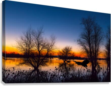 Zen Dawn Canvas Print